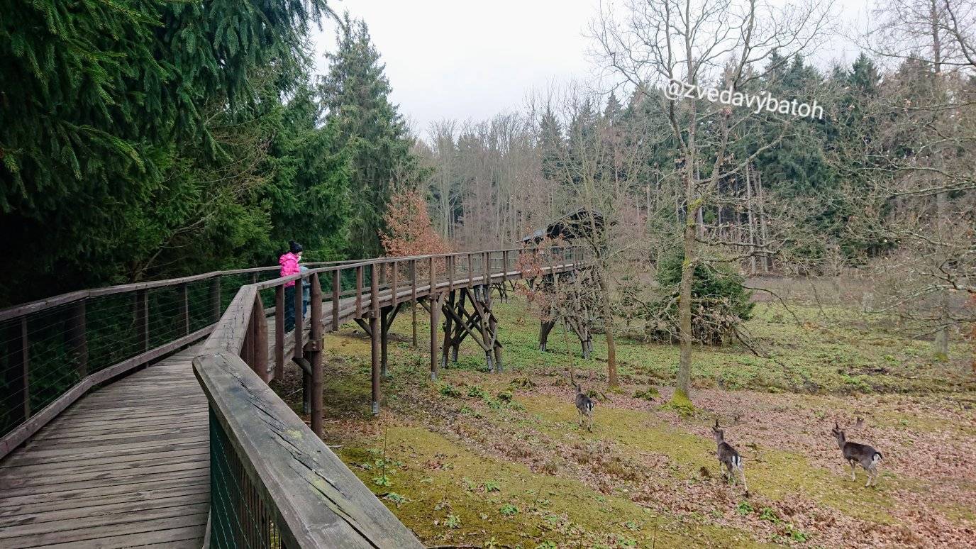 Znám křišťálovou studánku…